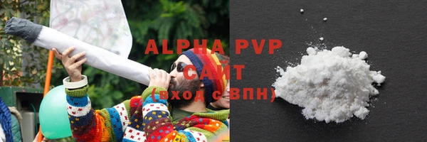 индика Белоозёрский