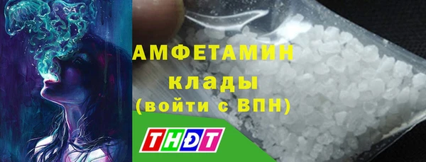 индика Белоозёрский
