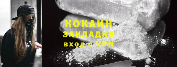 индика Белоозёрский
