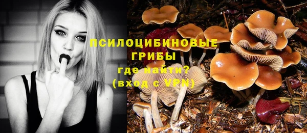 индика Белоозёрский