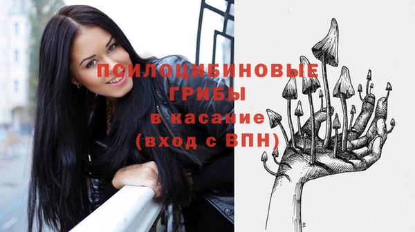 индика Белоозёрский