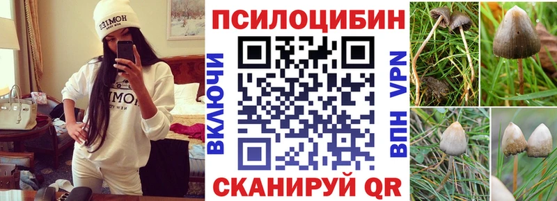 Галлюциногенные грибы GOLDEN TEACHER  Городище 