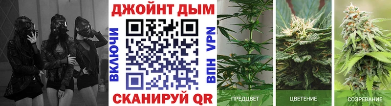 Бошки Шишки VHQ  Городище 